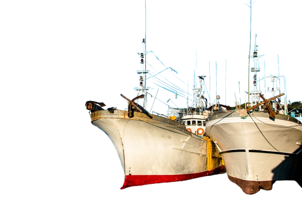 Seguro-de-Vida-para-Armadores-de-Buques